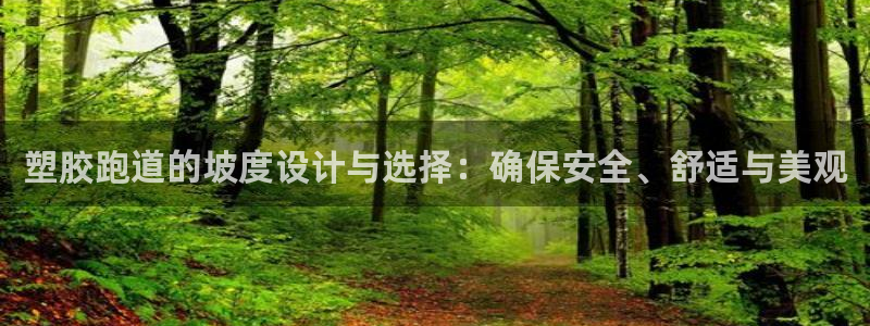 百度红足一1是干什么的：塑胶跑道的坡度设计与选择：确保安全、舒适与美观