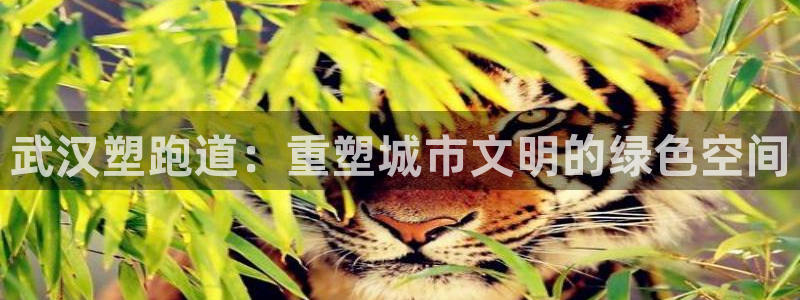 红足1一世开奖版：武汉塑跑道：重塑城市文明的绿色空间