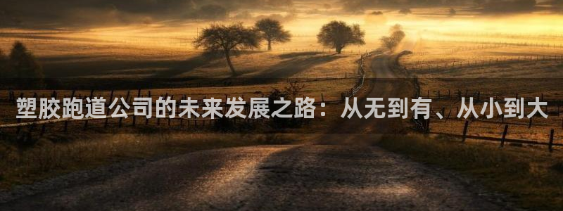 红足1世足球比分 localhost：塑胶跑道公司的未来发展之路：从无到有、从小到大