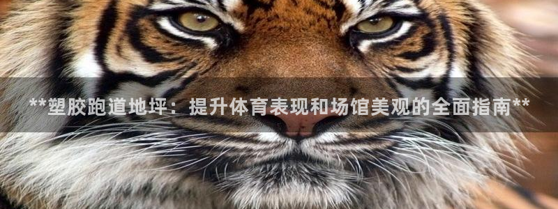 77814红足1世：**塑胶跑道地坪：提升体育表现和场馆美观的全面指南**