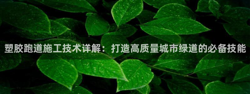 红足1世开奖预测：塑胶跑道施工技术详解：打造高质量城市绿道的必备技能