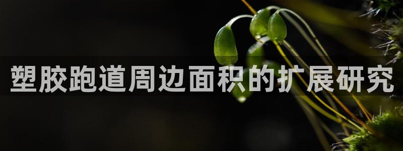 777814红·足一世比分篮球：塑胶跑道周边面积的扩展研究
