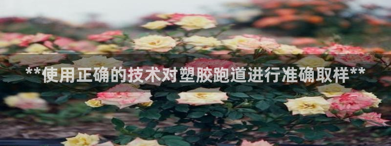 红足 世足球手机网：**使用正确的技术对塑胶跑道进行准确取样**
