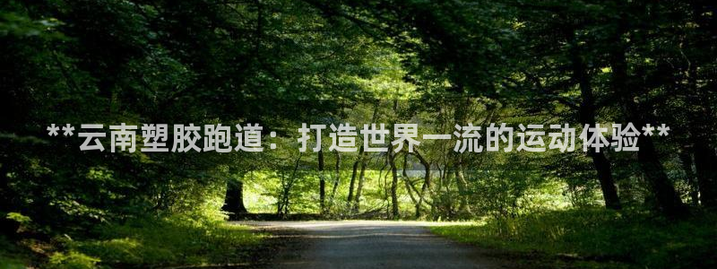 红姐现场直播开奖记录：**云南塑胶跑道：打造世界一流的运动体验**