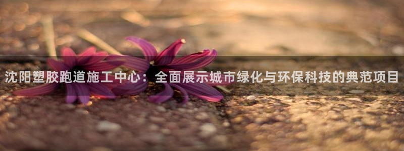 红足1世手足球比分：沈阳塑胶跑道施工中心：全面展示城市绿化与环保科技的典范项目