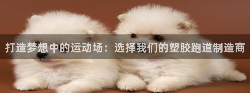红足一1世666814最新结果：打造梦想中的运动场：选择我们的塑胶跑道制造商