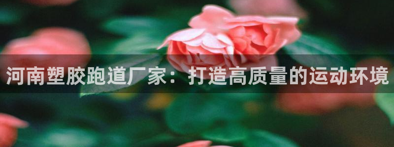 红足一1世66814：河南塑胶跑道厂家：打造高质量的运动环境