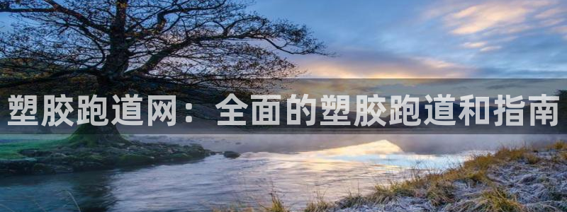红足1世足球比分：塑胶跑道网：全面的塑胶跑道和指南
