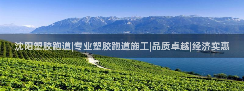 333814红足1世：沈阳塑胶跑道|专业塑胶跑道施工|品质卓越|经济实惠