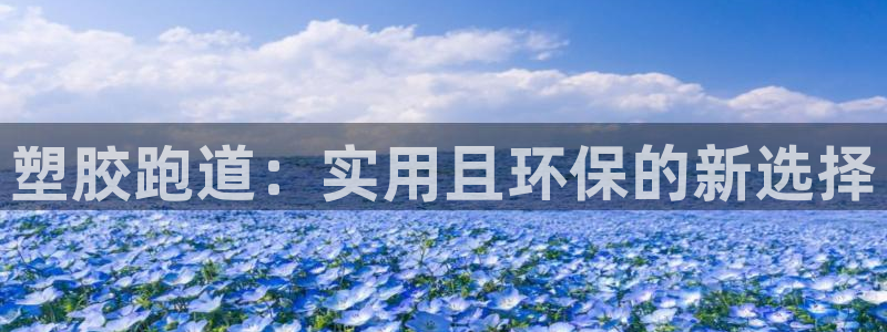 百度红足一1世：塑胶跑道：实用且环保的新选择