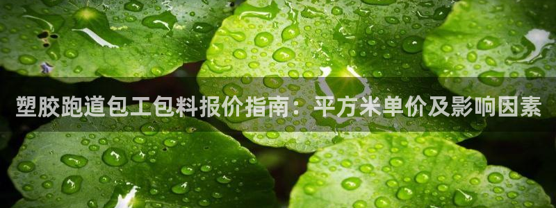 红足1世手机下载：塑胶跑道包工包料报价指南：平方米单价及影响因素