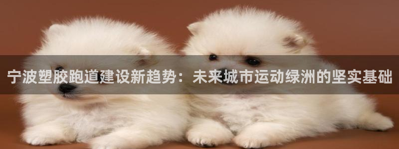 红足一1世66814：宁波塑胶跑道建设新趋势：未来城市运动绿洲的坚实基础