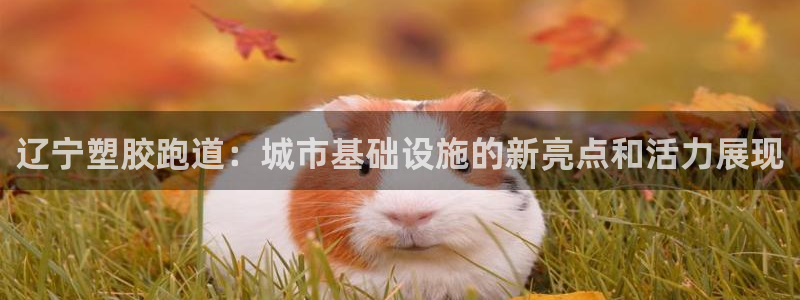 红足1世足球比分网址：辽宁塑胶跑道：城市基础设施的新亮点和活力展现