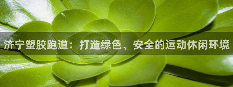 百度红足一1使用说明：济宁塑胶跑道：打造绿色、安全的运动休闲环境