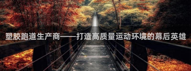 红足1一世：塑胶跑道生产商——打造高质量运动环境的幕后英雄