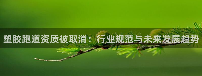 红足一一世：塑胶跑道资质被取消：行业规范与未来发展趋势
