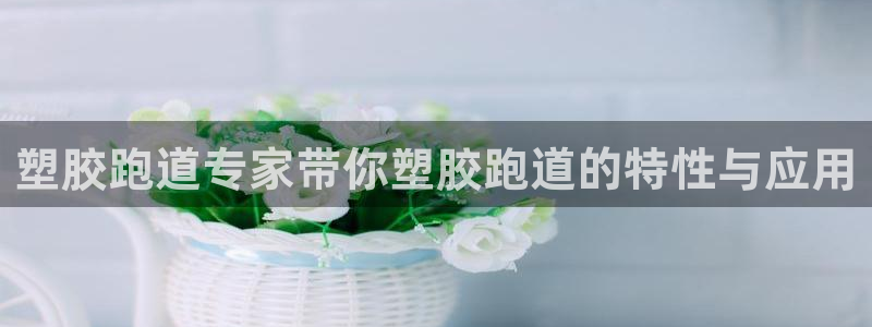 红足一1世平台：塑胶跑道专家带你塑胶跑道的特性与应用