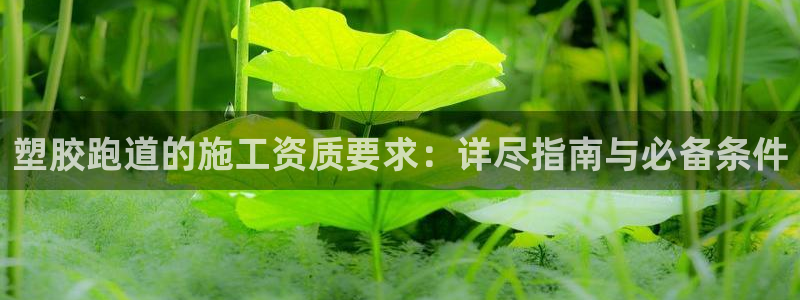 红足1世足球：塑胶跑道的施工资质要求：详尽指南与必备条件