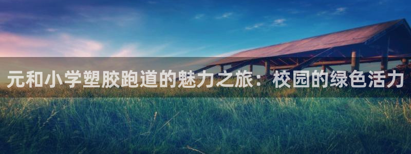 777814红·足一世：元和小学塑胶跑道的魅力之旅：校园的绿色活力
