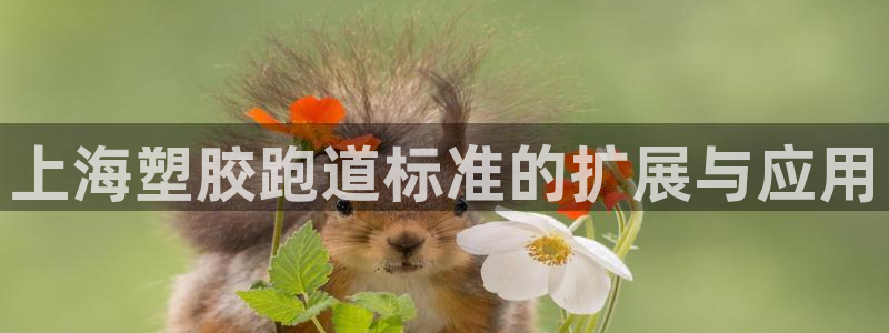 红足一1世比分：上海塑胶跑道标准的扩展与应用
