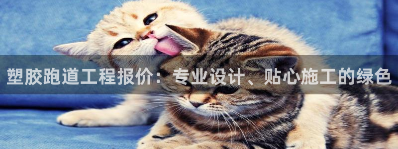 红足一1世皇冠登录：塑胶跑道工程报价：专业设计、贴心施工的绿色