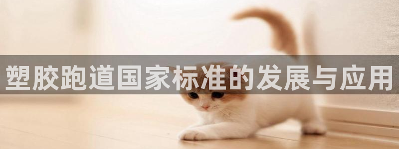 百度红足一1世：塑胶跑道国家标准的发展与应用