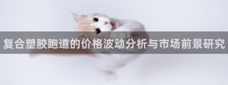 红足一生世：复合塑胶跑道的价格波动分析与市场前景研究