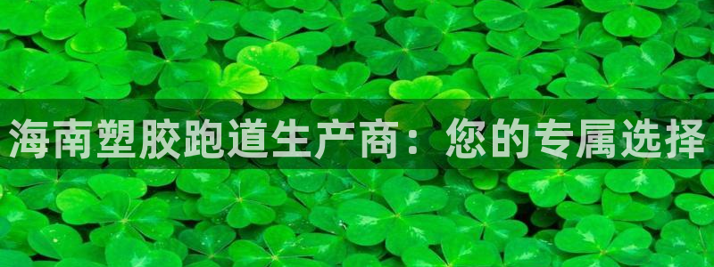 红足一1世官网：海南塑胶跑道生产商：您的专属选择