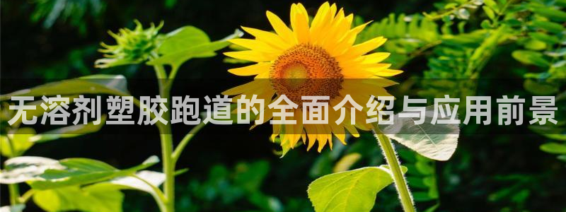 红足1一世红：无溶剂塑胶跑道的全面介绍与应用前景