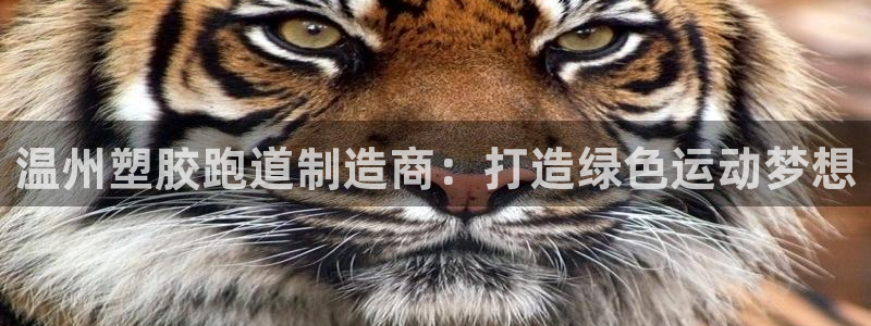 66814红足：温州塑胶跑道制造商：打造绿色运动梦想