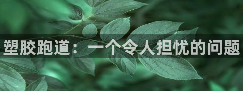 55814红足1世：塑胶跑道：一个令人担忧的问题