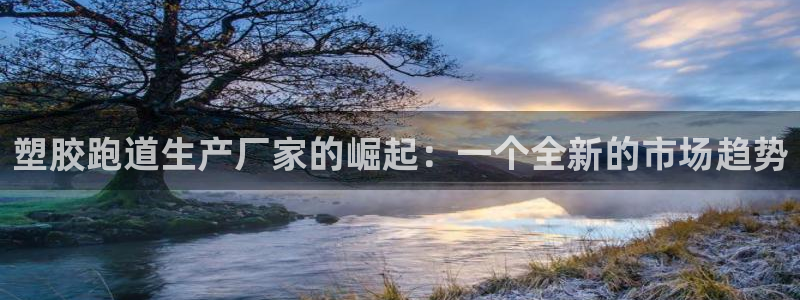 红足1世足球比分 localhost：塑胶跑道生产厂家的崛起：一个全新的市场趋势