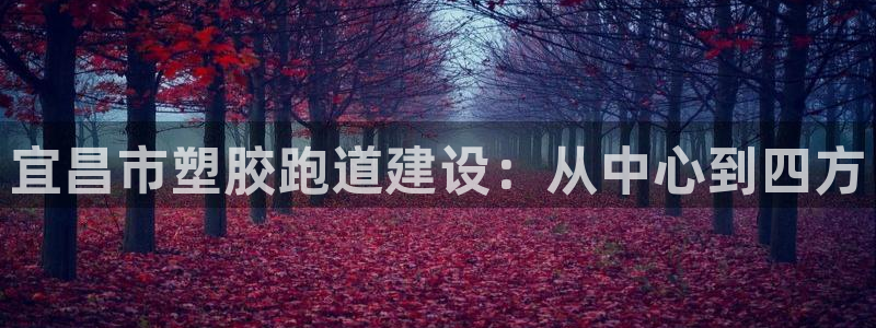 红足一1世77814：宜昌市塑胶跑道建设：从中心到四方