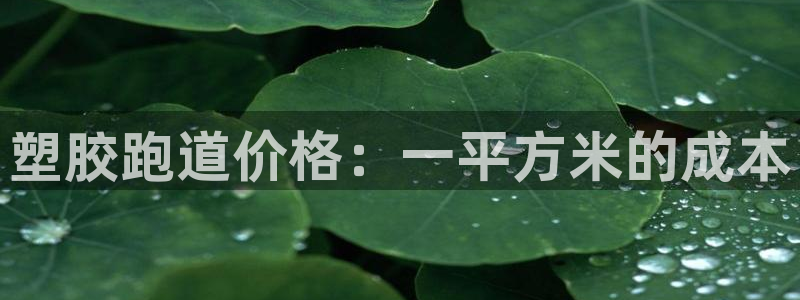红足一1世手机版新皇冠：塑胶跑道价格：一平方米的成本