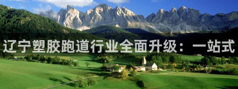 666814红·足一世比分：辽宁塑胶跑道行业全面升级：一站式