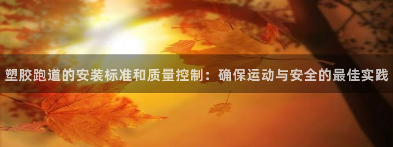 红足一一世：塑胶跑道的安装标准和质量控制：确保运动与安全的最佳实践