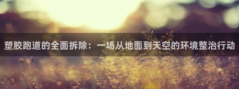 红足1世官网：塑胶跑道的全面拆除：一场从地面到天空的环境整治行动
