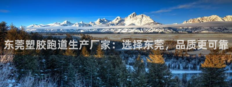 百度红足一1世：东莞塑胶跑道生产厂家：选择东莞，品质更可靠