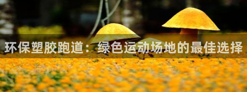 红足一1世即时比分：环保塑胶跑道：绿色运动场地的最佳选择