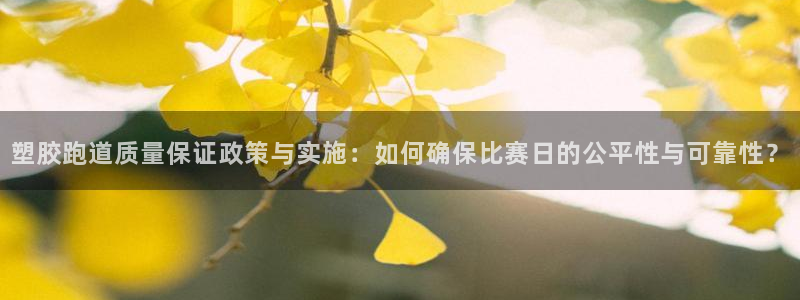 红足1世足球网址大全：塑胶跑道质量保证政策与实施：如何确保比赛日的公平性与可靠性？