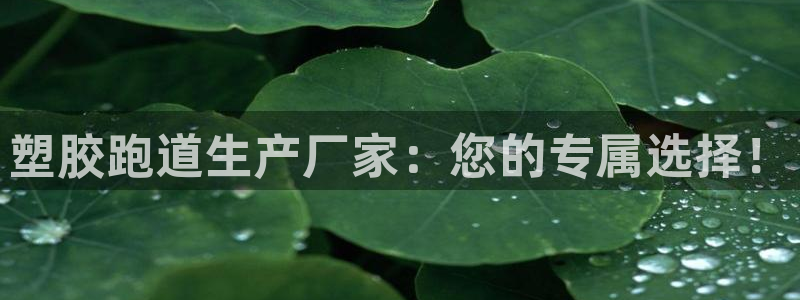 红足1世足球比分 localhost：塑胶跑道生产厂家：您的专属选择！