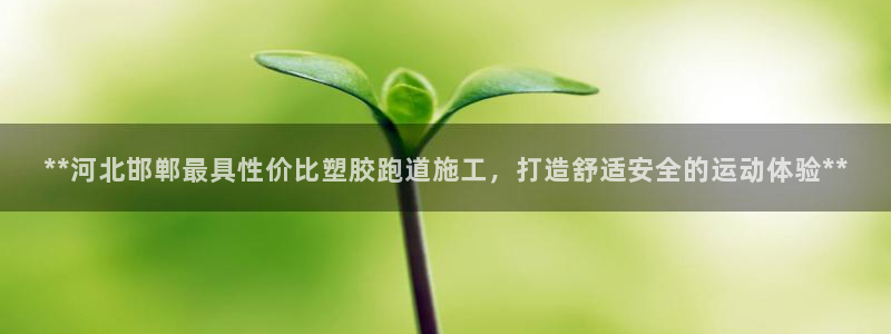 333814红足1世：**河北邯郸最具性价比塑胶跑道施工，打造舒适安全的运动体验**