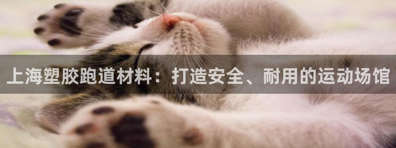 红足1世1站2站管理网：上海塑胶跑道材料：打造安全、耐用的运动场馆