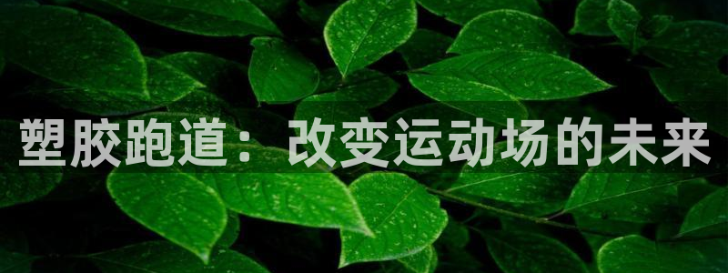 红足一1世官网：塑胶跑道：改变运动场的未来