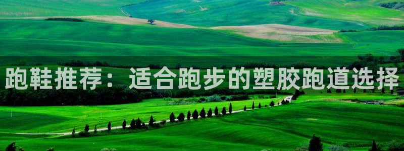 红足一1世手机皇冠：跑鞋推荐：适合跑步的塑胶跑道选择