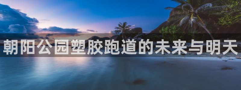 红足一一世：朝阳公园塑胶跑道的未来与明天