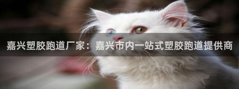 红足一生世：嘉兴塑胶跑道厂家：嘉兴市内一站式塑胶跑道提供商