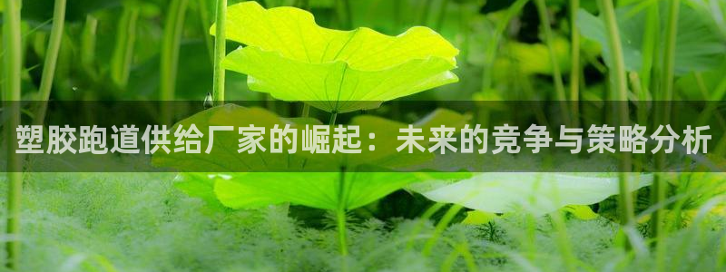 红足1世手机板：塑胶跑道供给厂家的崛起：未来的竞争与策略分析