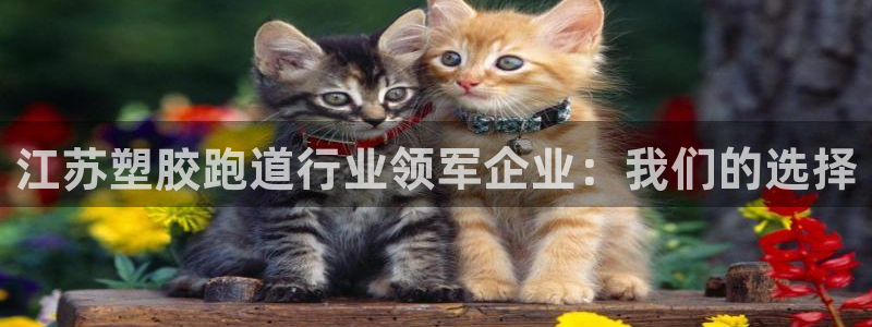 红足1一世足球手机：江苏塑胶跑道行业领军企业：我们的选择