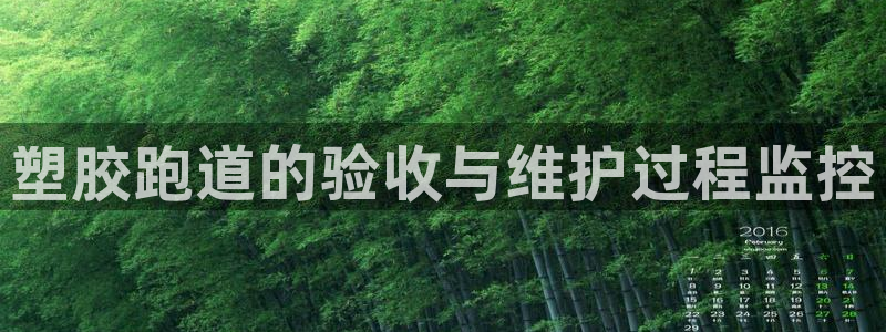 红足1世手机版下载：塑胶跑道的验收与维护过程监控